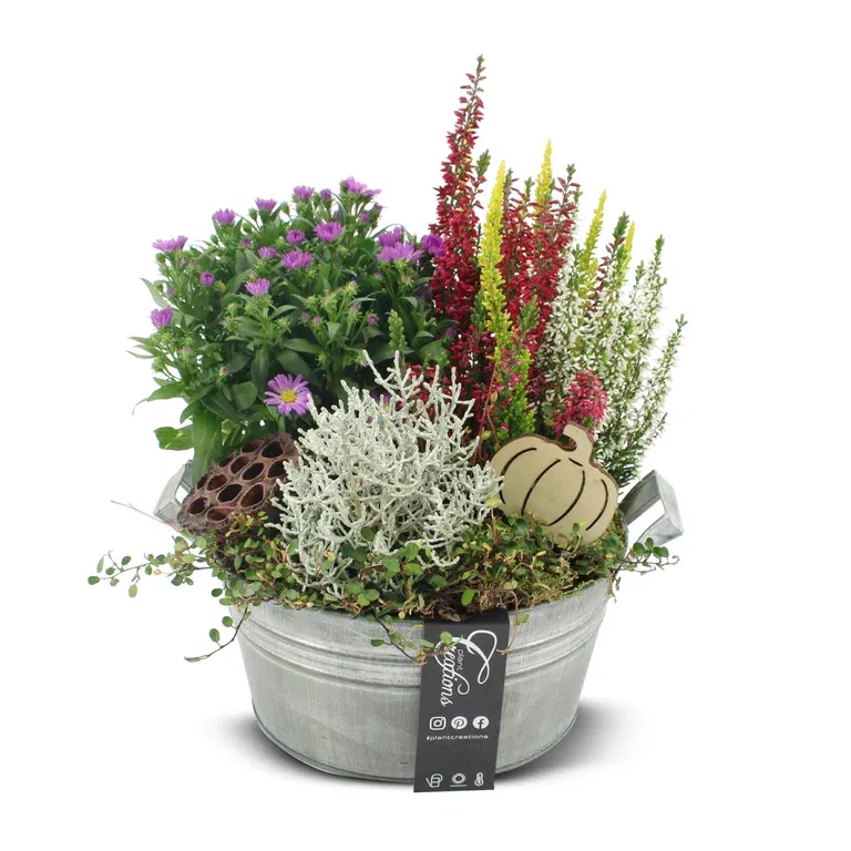 Autumn dec. Outdoor in round zink