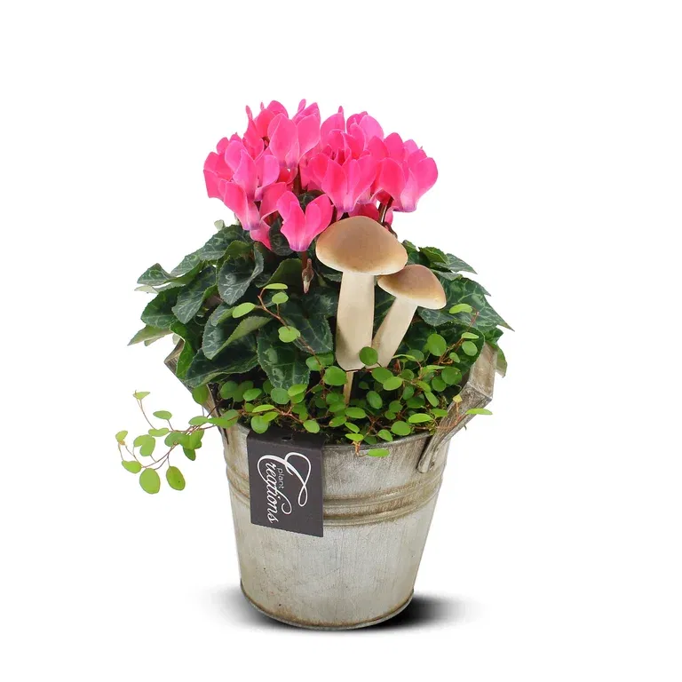 Autumn dec. Outdoor in zink white/pink