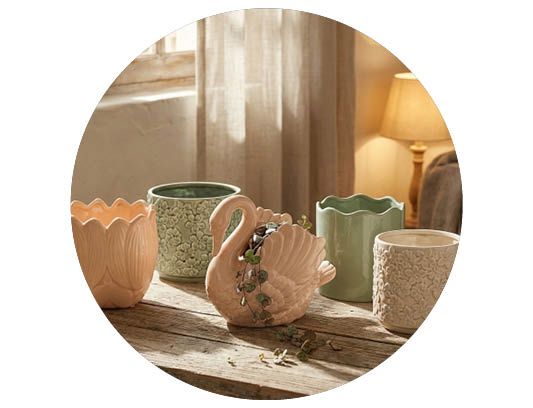 Image of Garden care