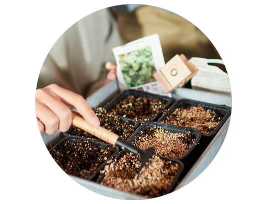 Image of Detta kan du så nu