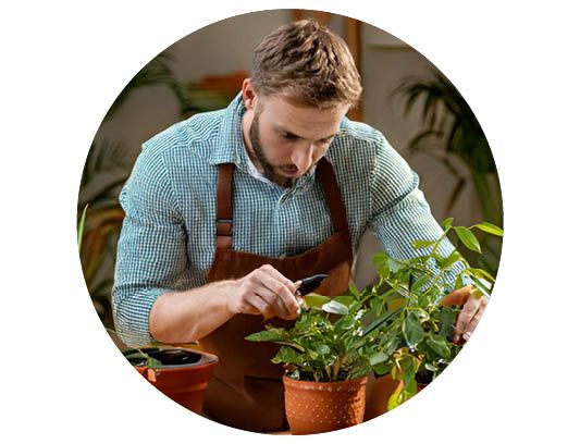 Image of Tips och råd