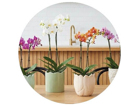 Image of Outdoor furniture