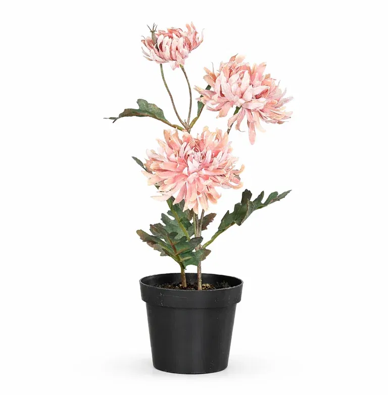 Krysantemum i kruka konstgjord