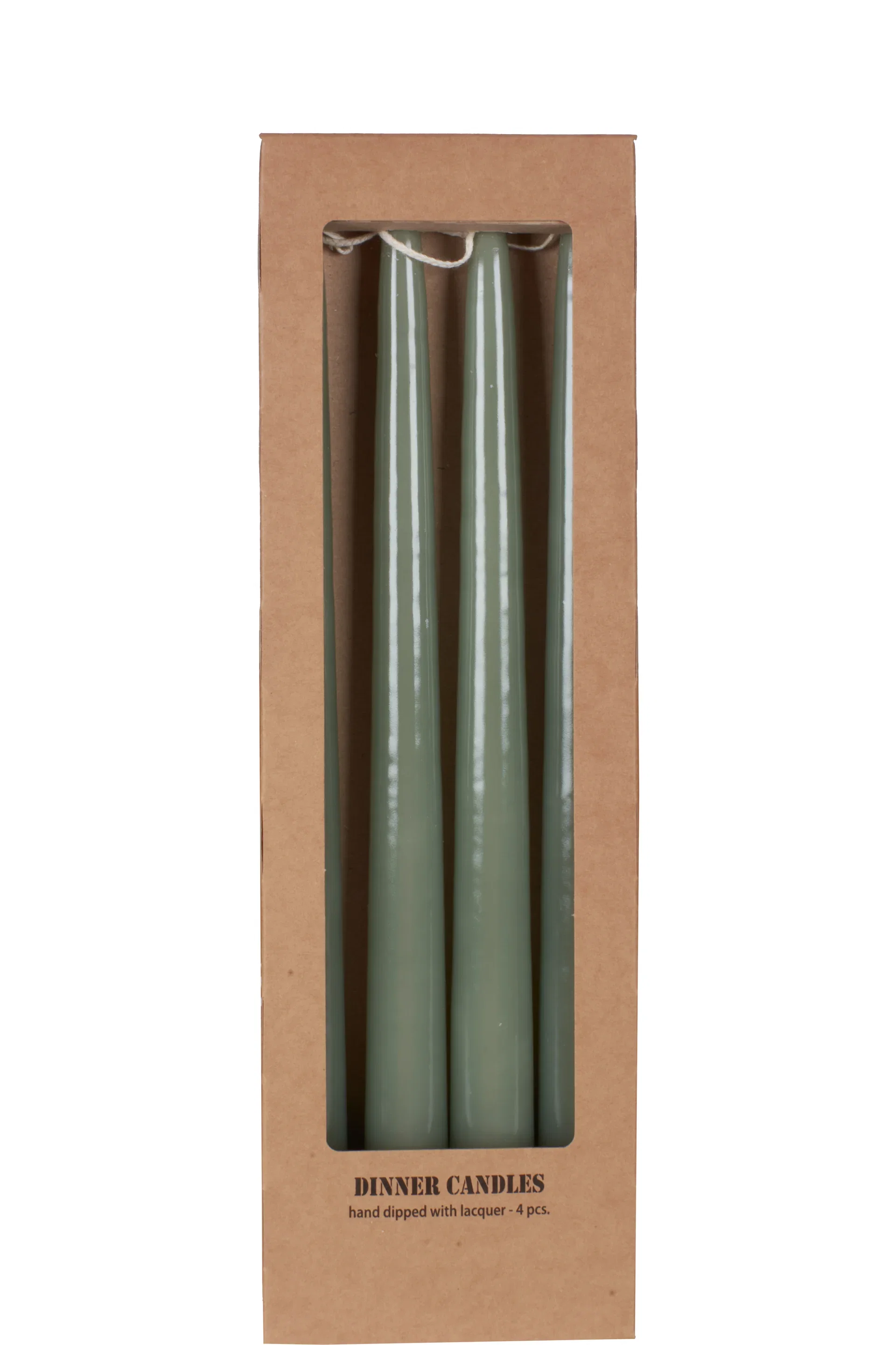 Antikljus Elegans