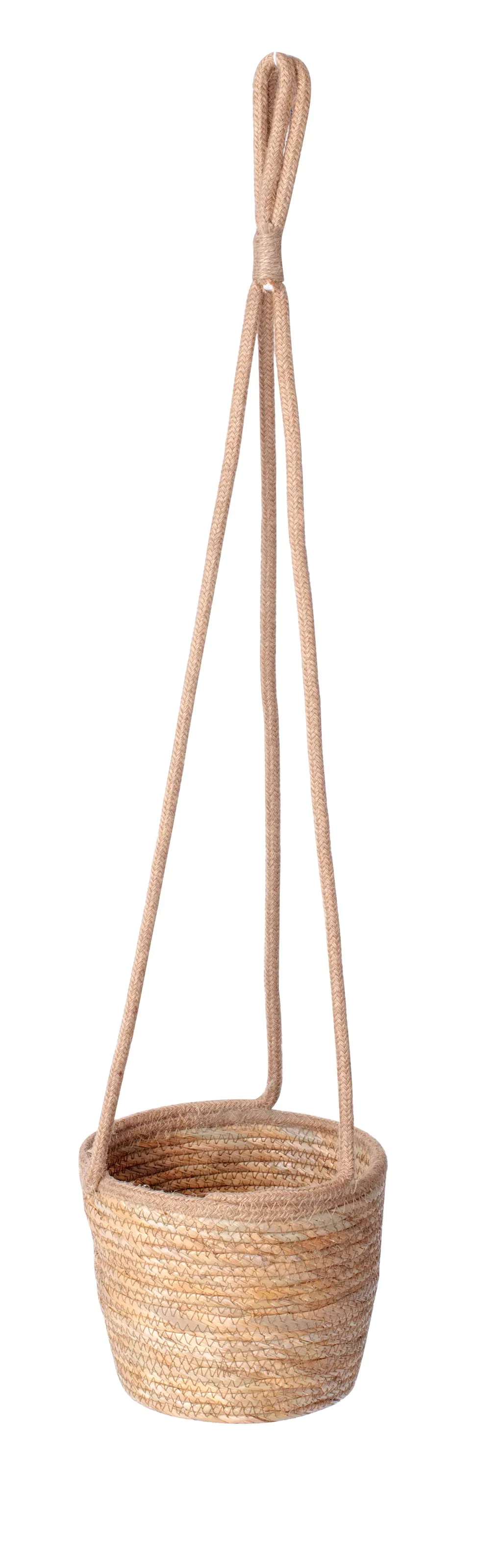 Ampelkruka Evin
