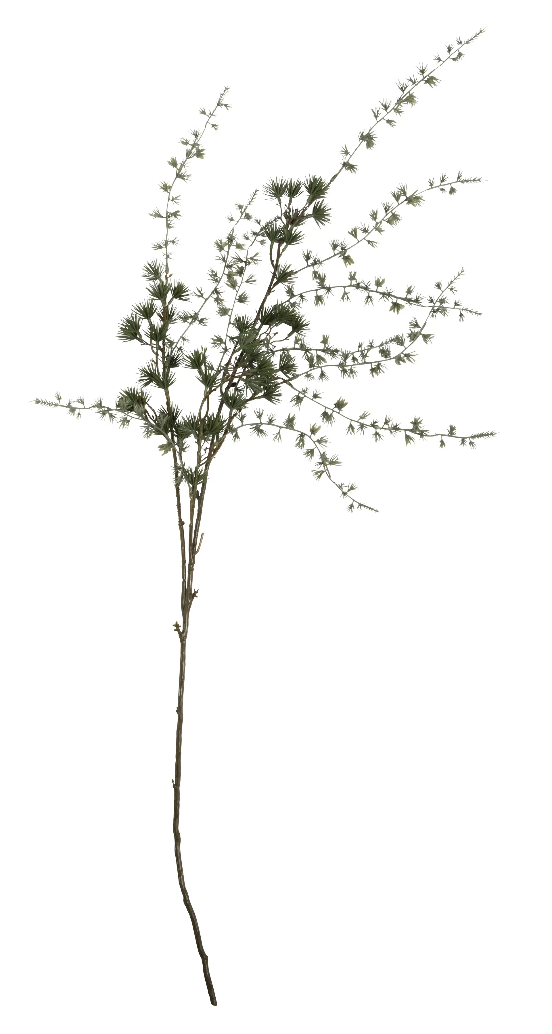 Lärkgren konstgjord