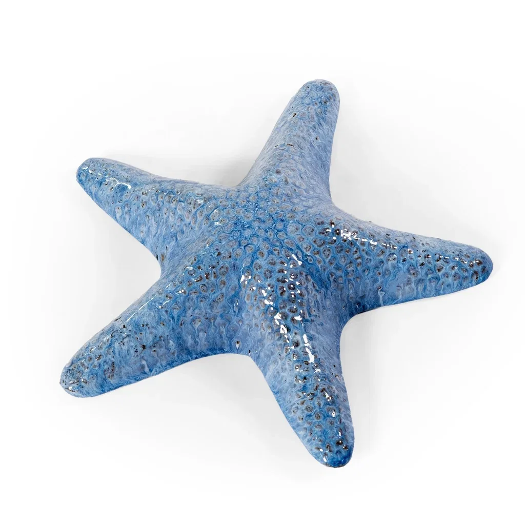 Starfish  Coral 