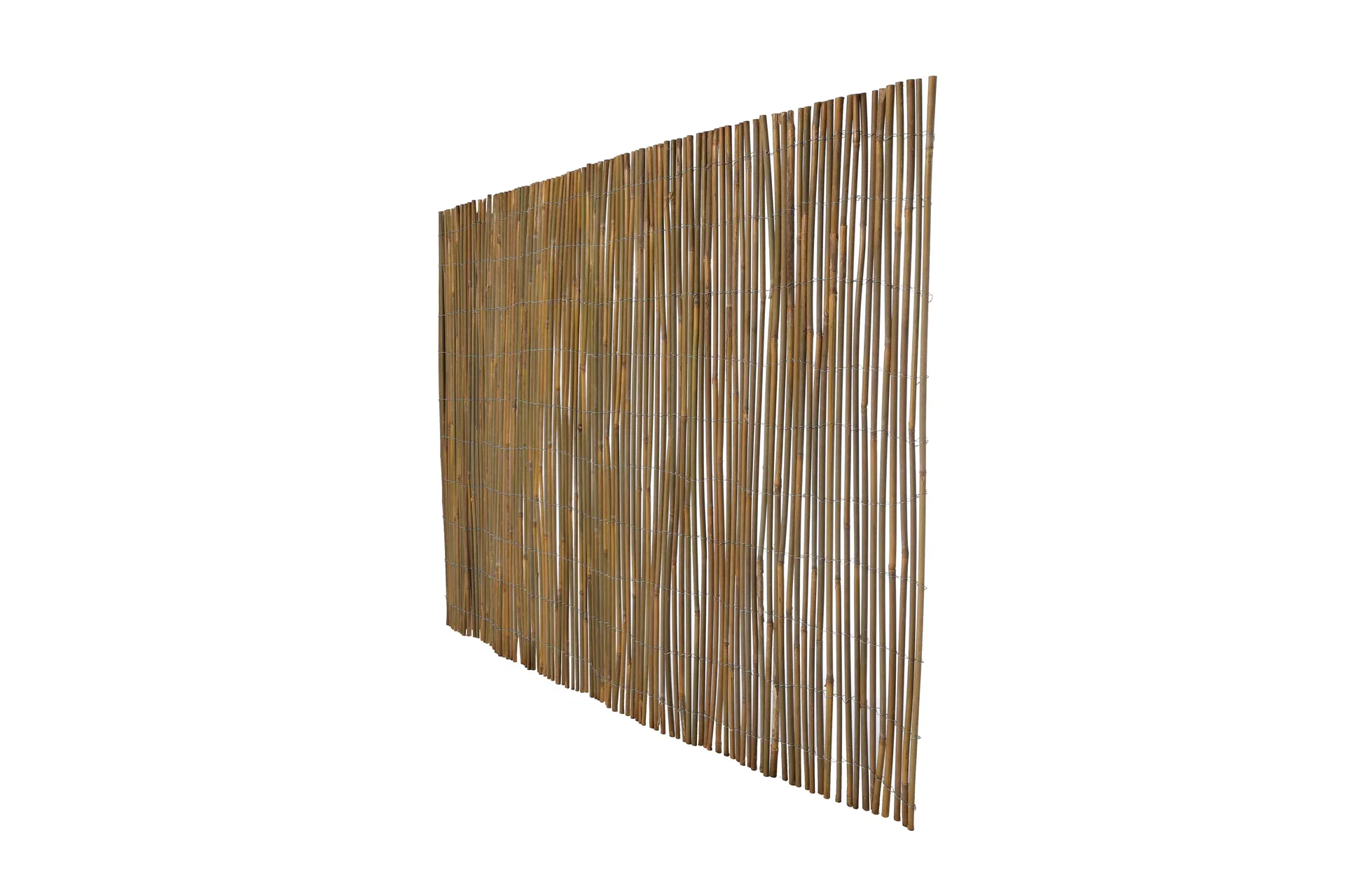 Bamboo Screen