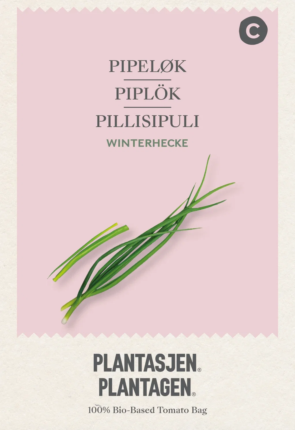 Allium fistulosum 'Winterhecke'