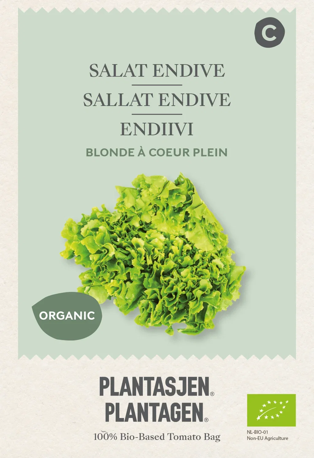 Sallat Endive Blonde à coeur plein