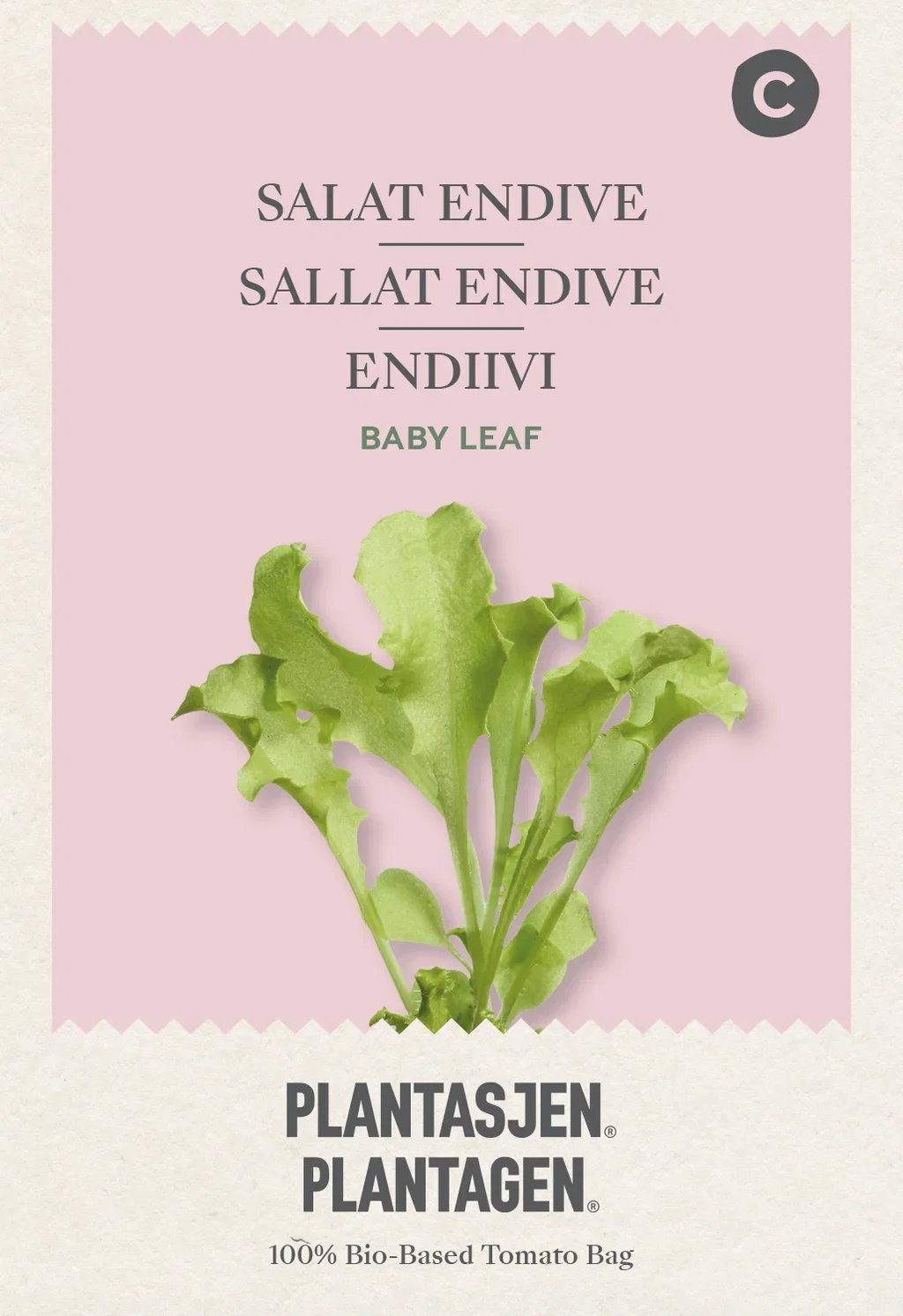 Babyleaf Sallat Endive White curled