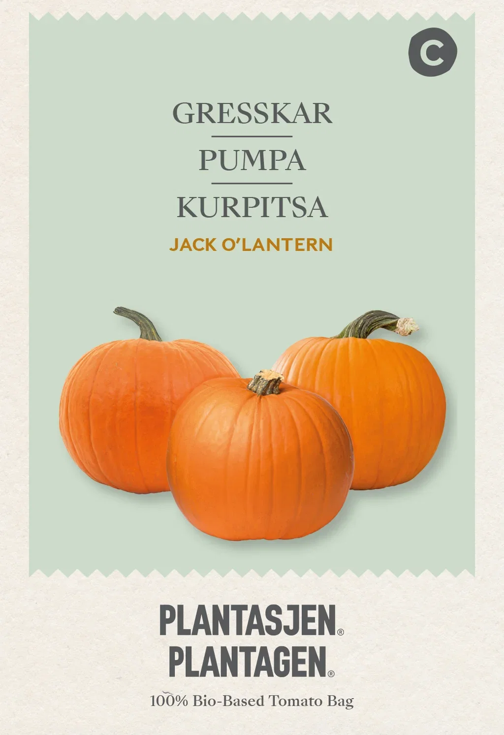 Jack O'Lantern pumpkin - 3 g