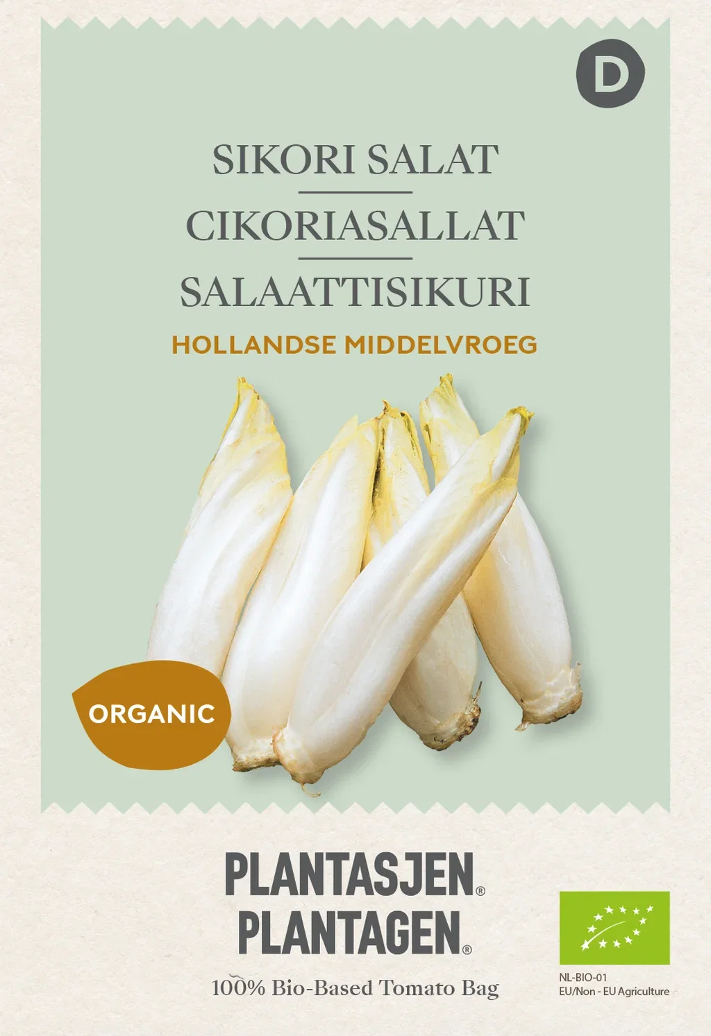 Chicory 'Hollandse Middelvroeg' (Skal 014218) - Organic