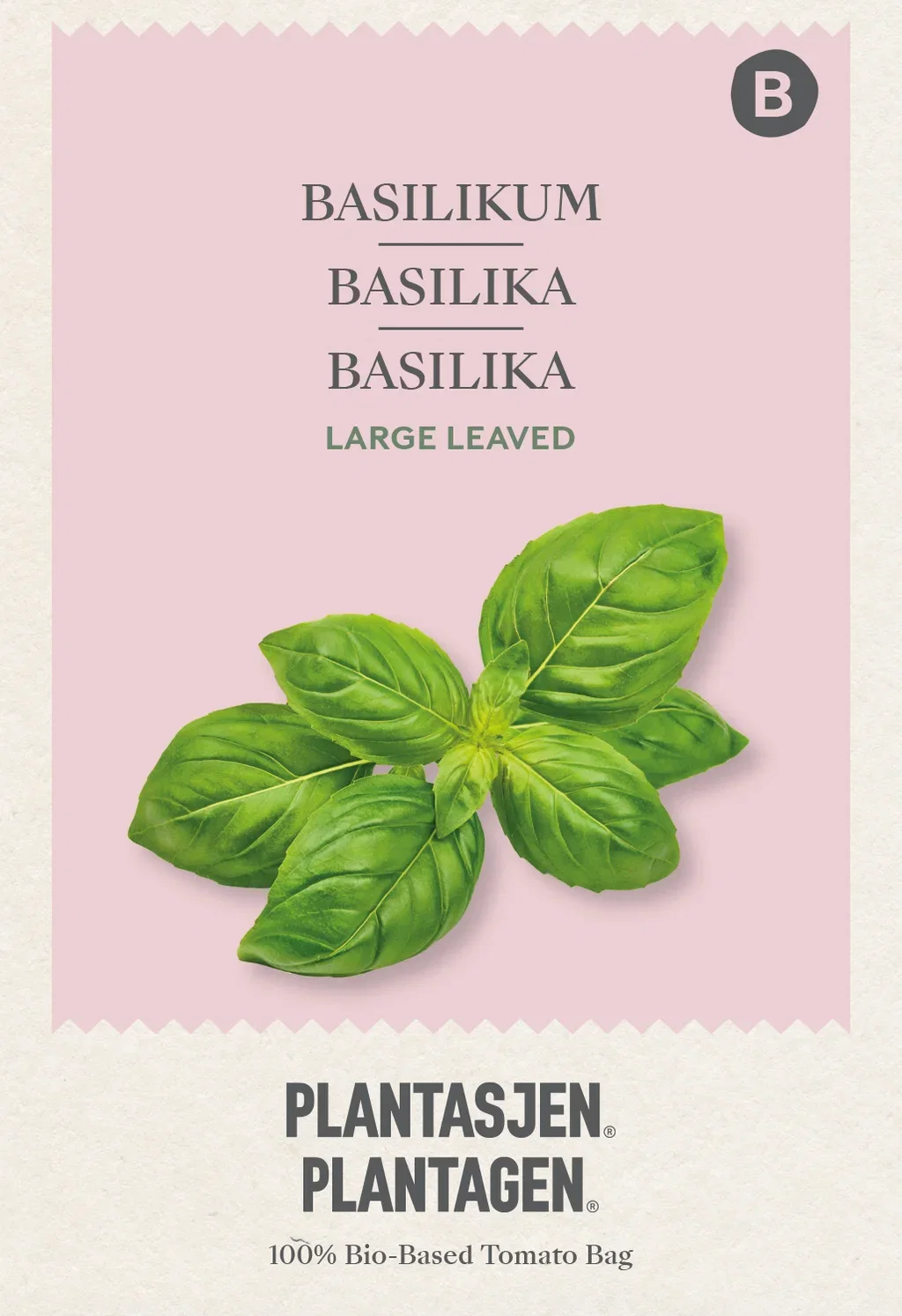 Basilika 'Large leaved'
