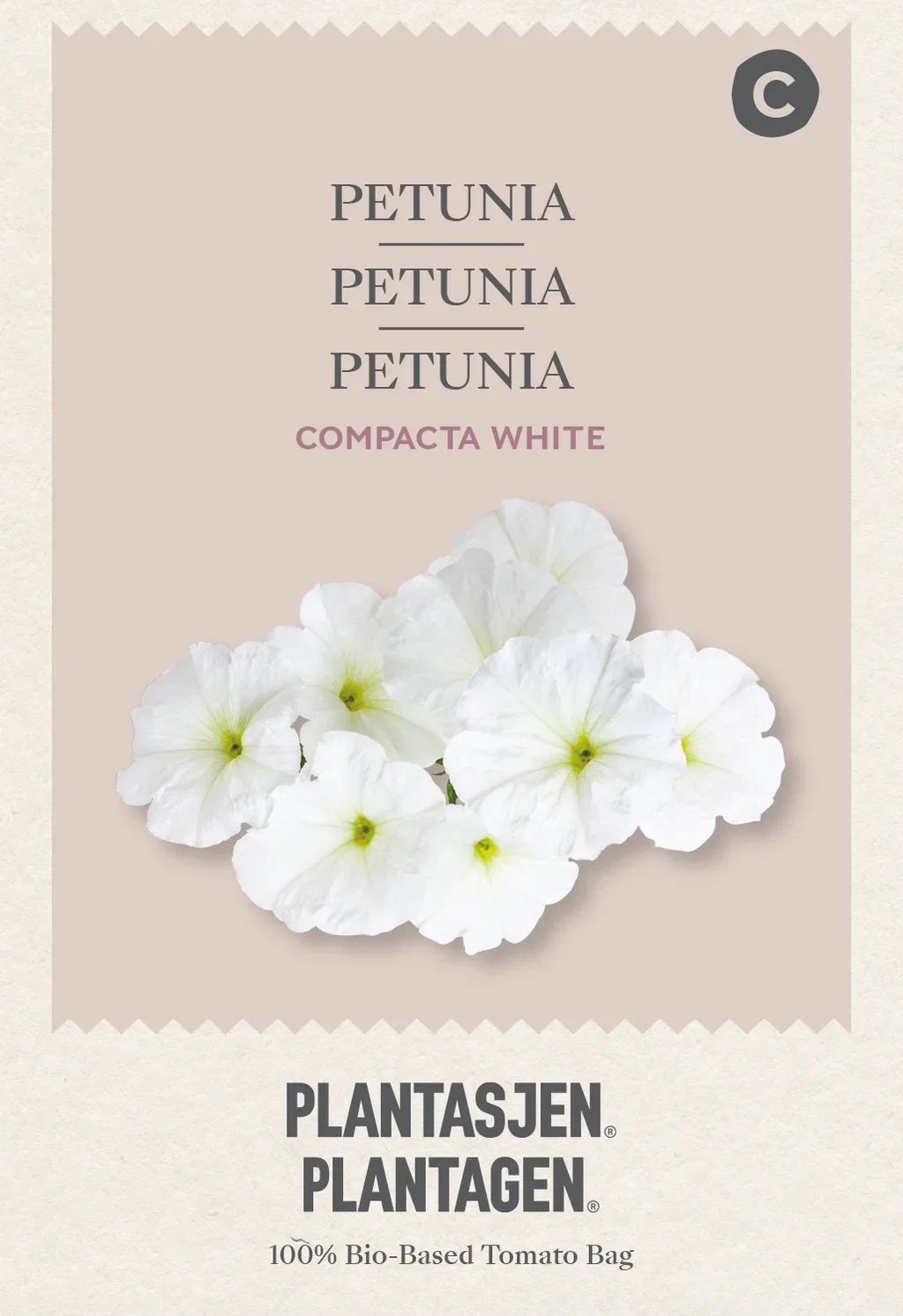 Petunia Compacta White
