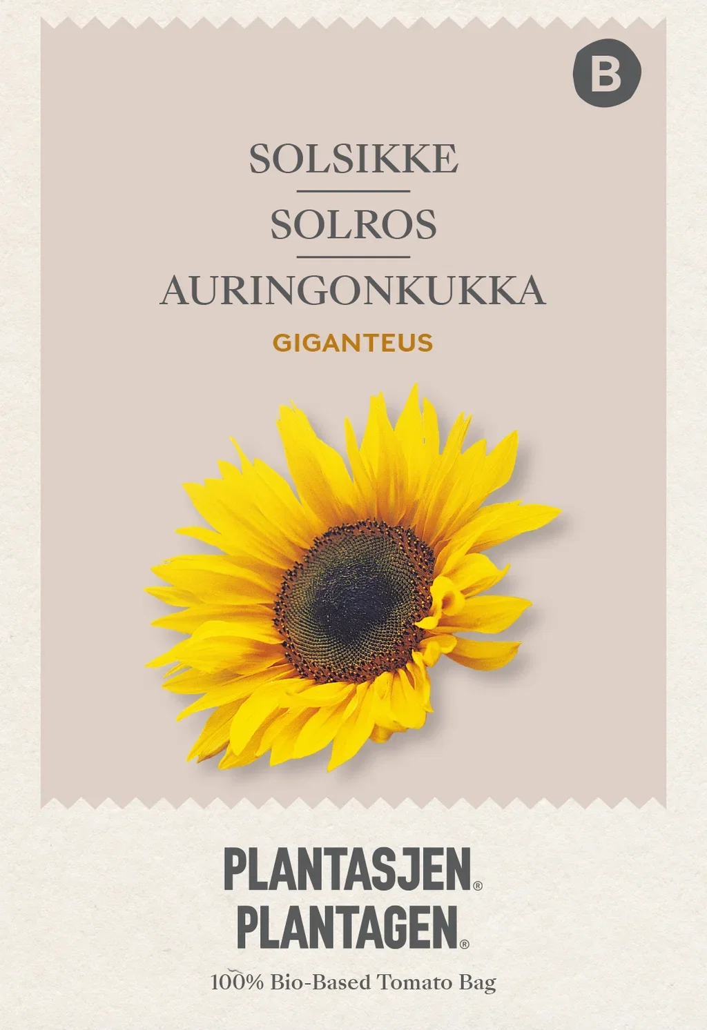 Helianthus annuus giganteus - 2.5 g