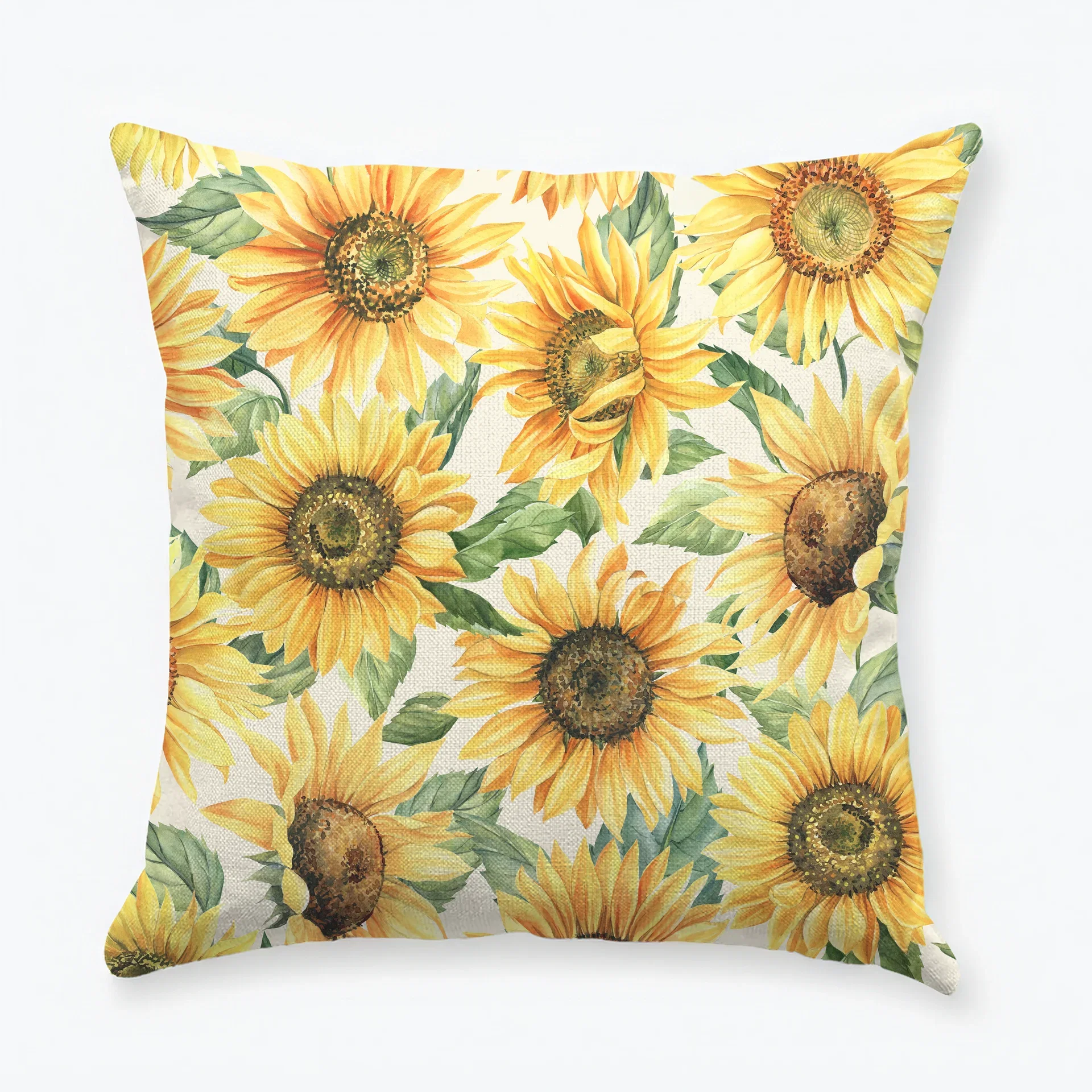 Kudde Girasole