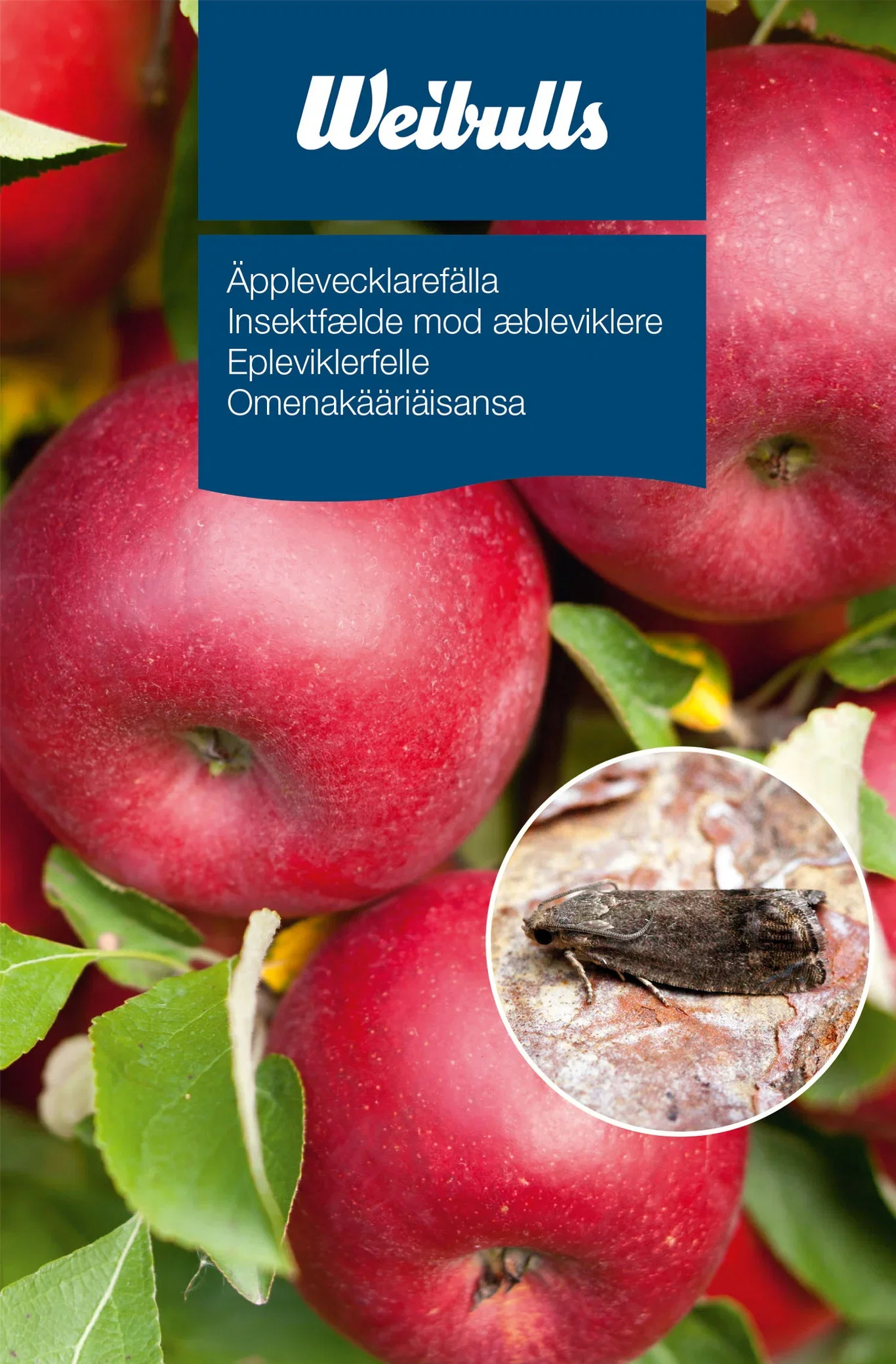 Feromonfälla äpplevecklare