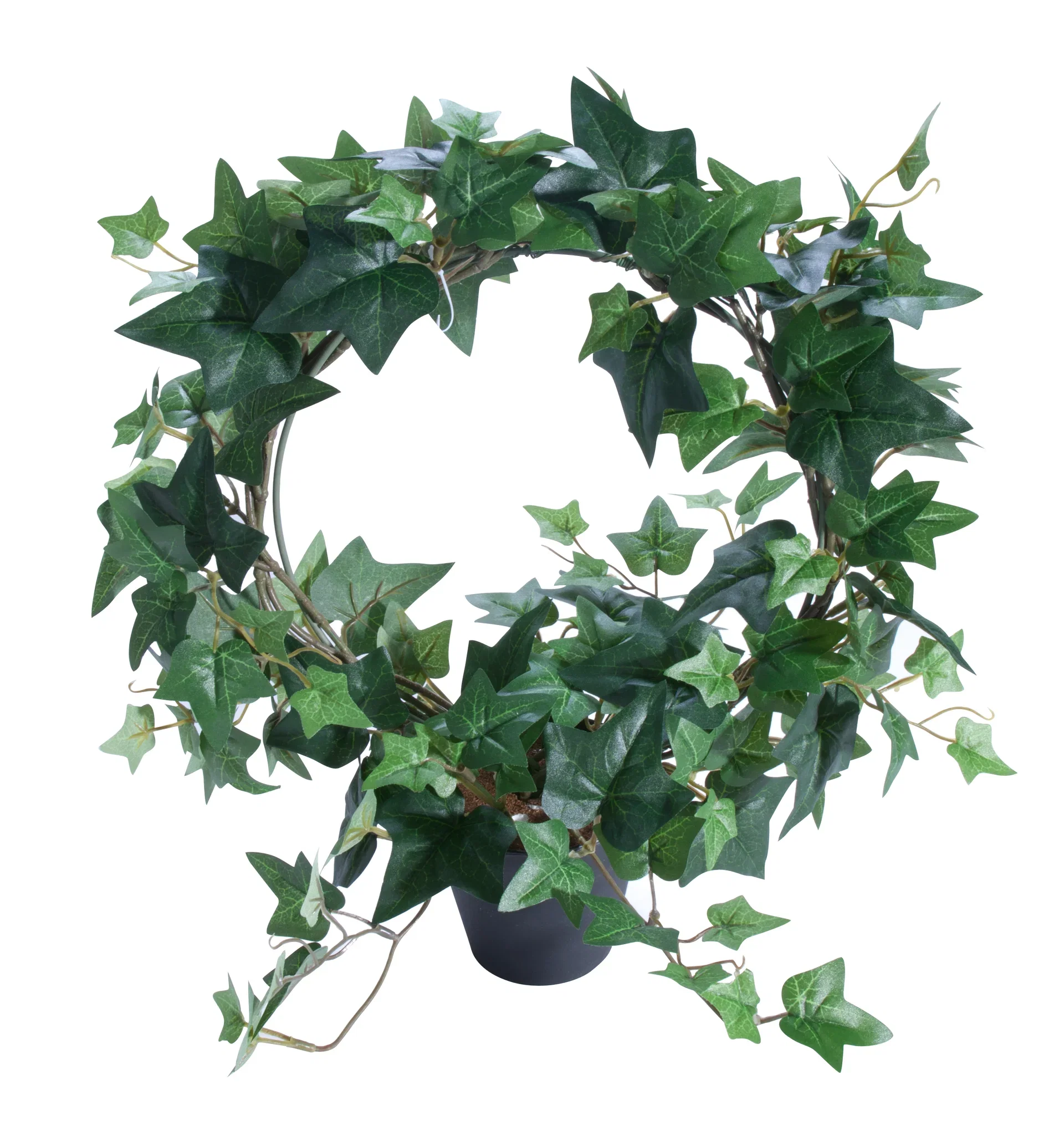 Murgröna på båge konstgjord