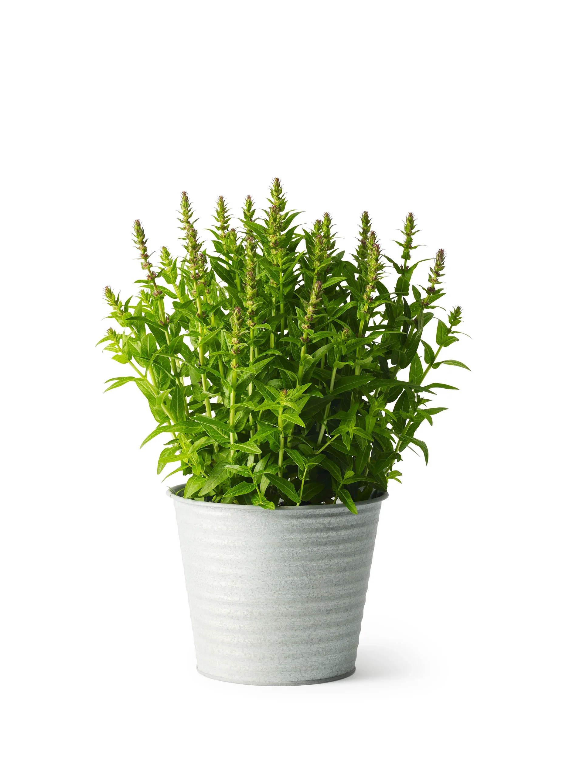 Crewe pot zinc D20 grey