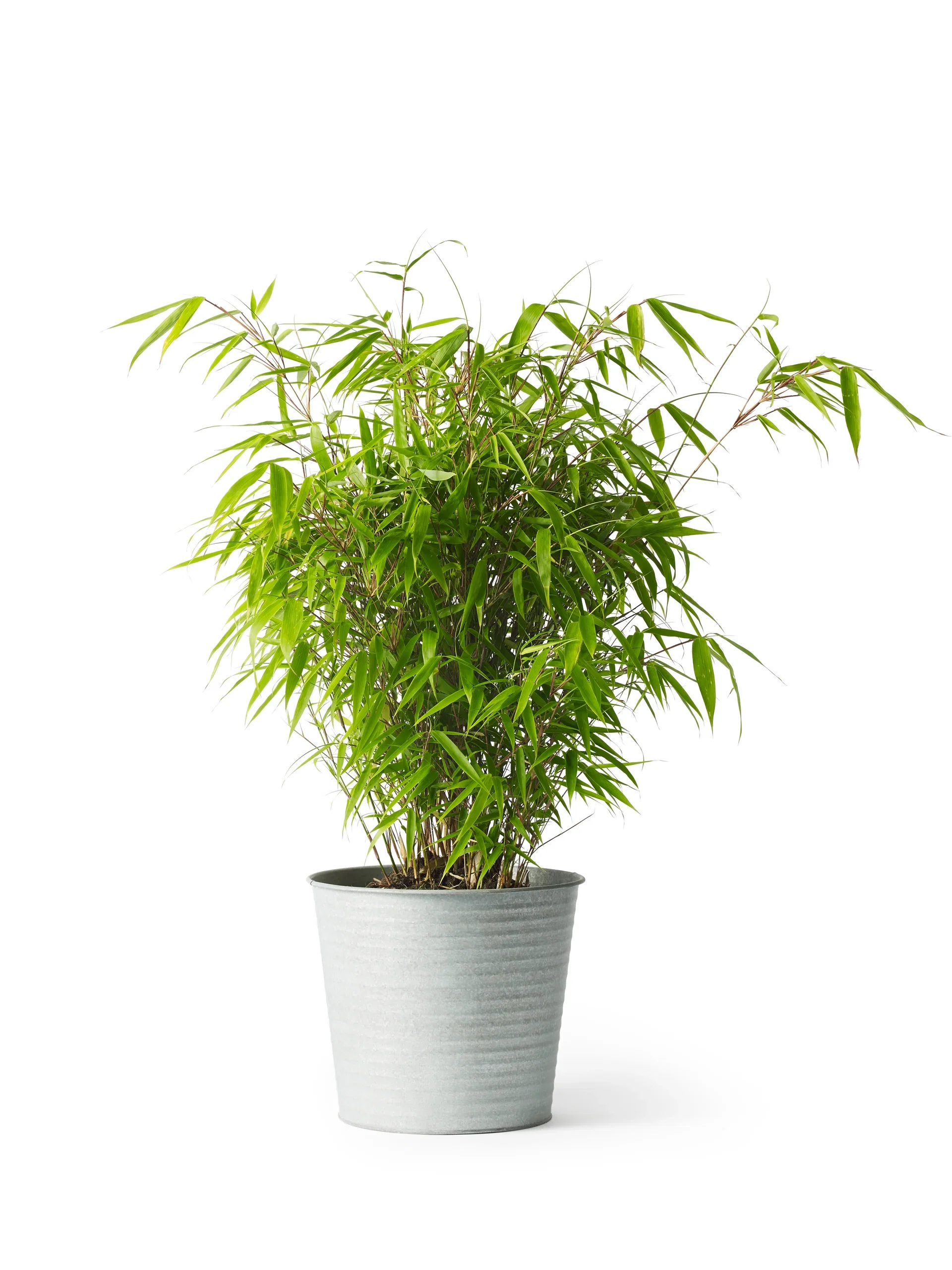 Crewe pot zinc D26 grey