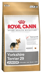 Yorkshire Terrier Junior 1,5 kg