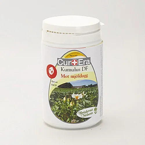 CurEra Kumulus DF