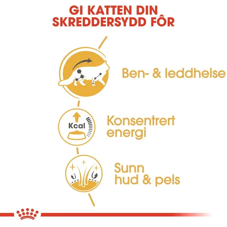 Maine Coon Adult WET 85 g