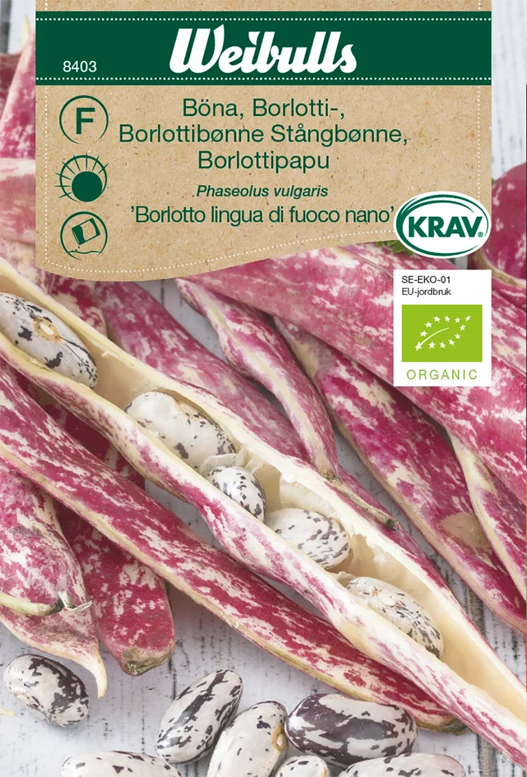 Böna 'Borlotto' KRAV