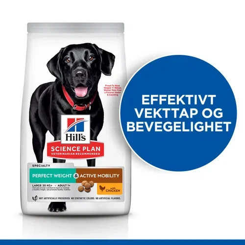 SP Canine Adult Perfect Weight & Active Mobility Large B