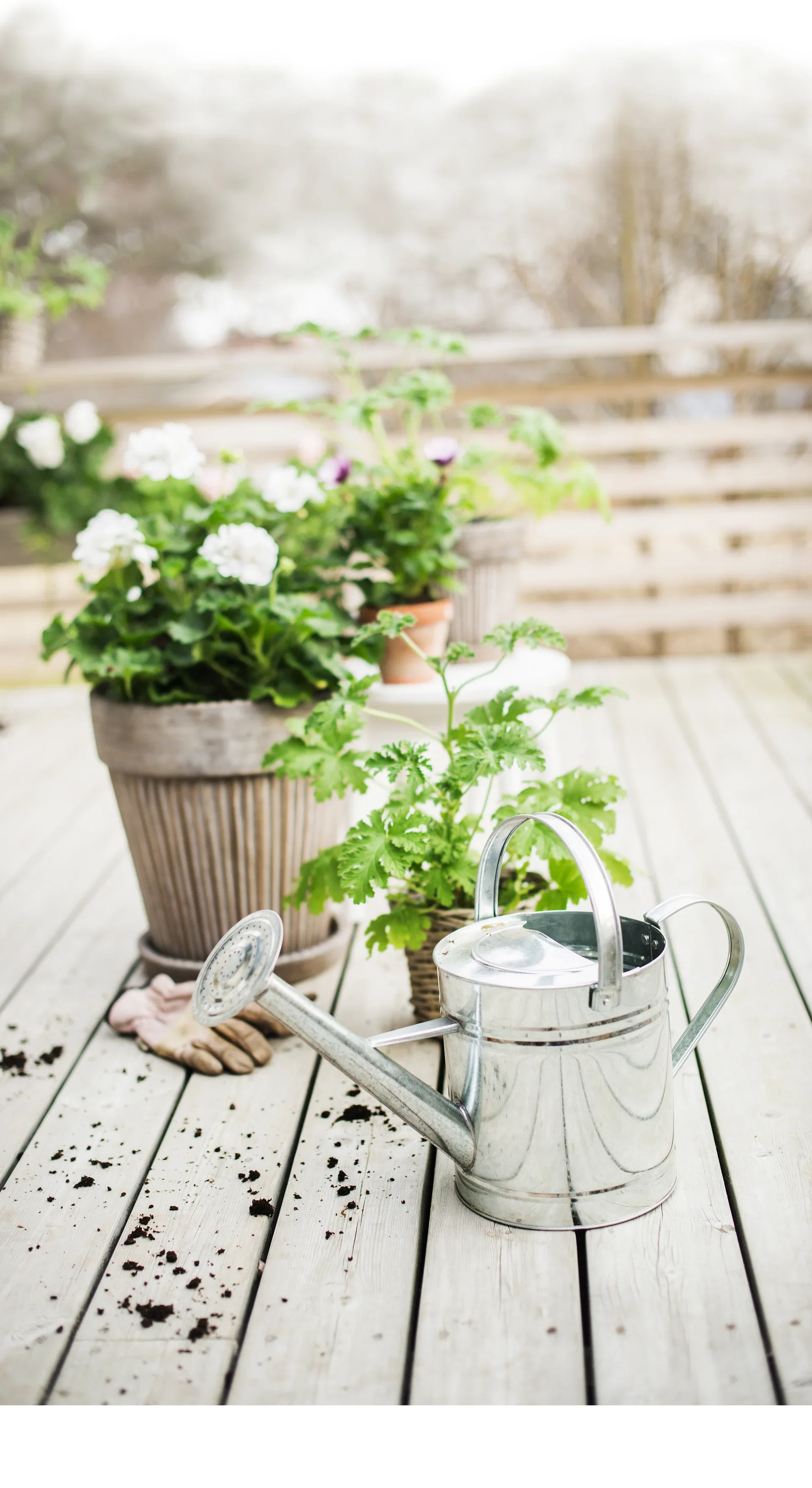 WATERING CAN GALVANIZED 5L