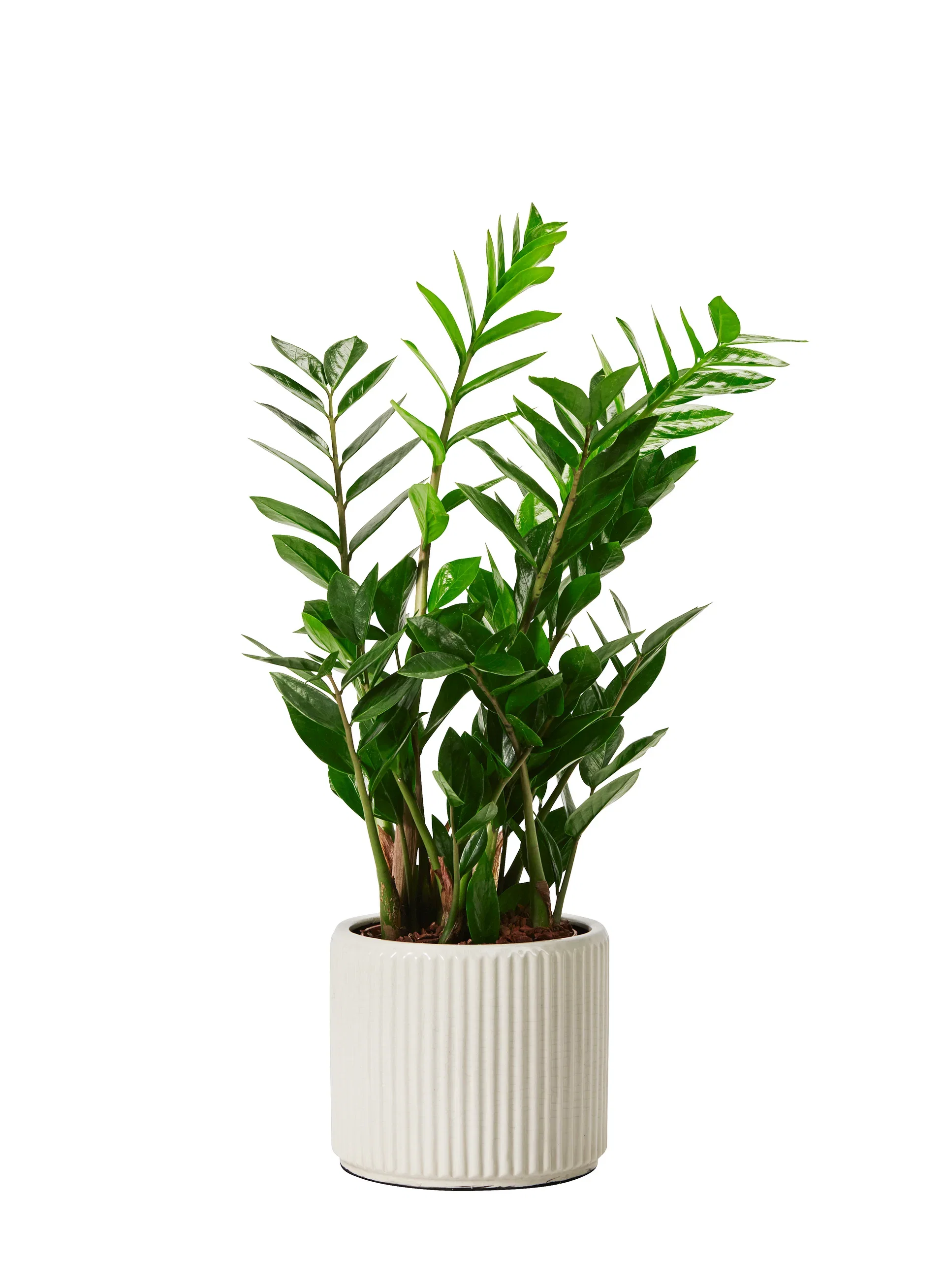 Albin pot D21,5 white