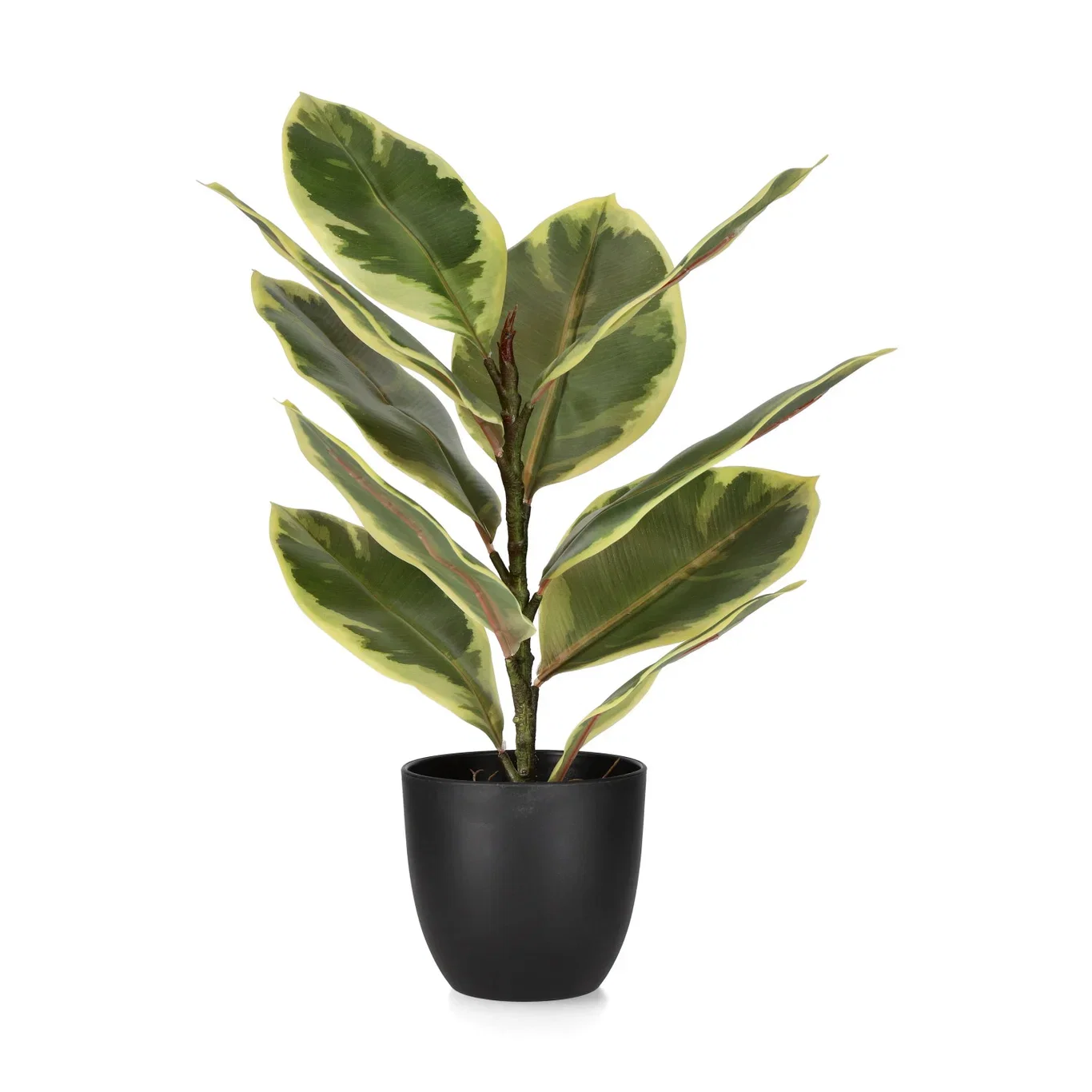 Fönsterfikus konstgjord