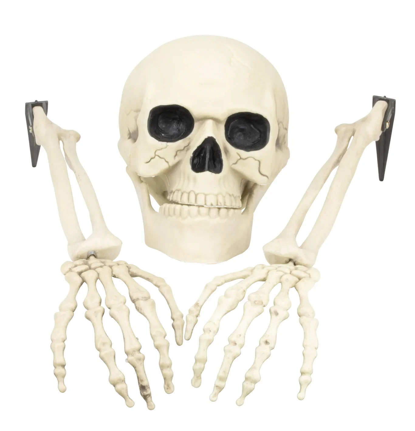 Halloweendekoration skelettdelar