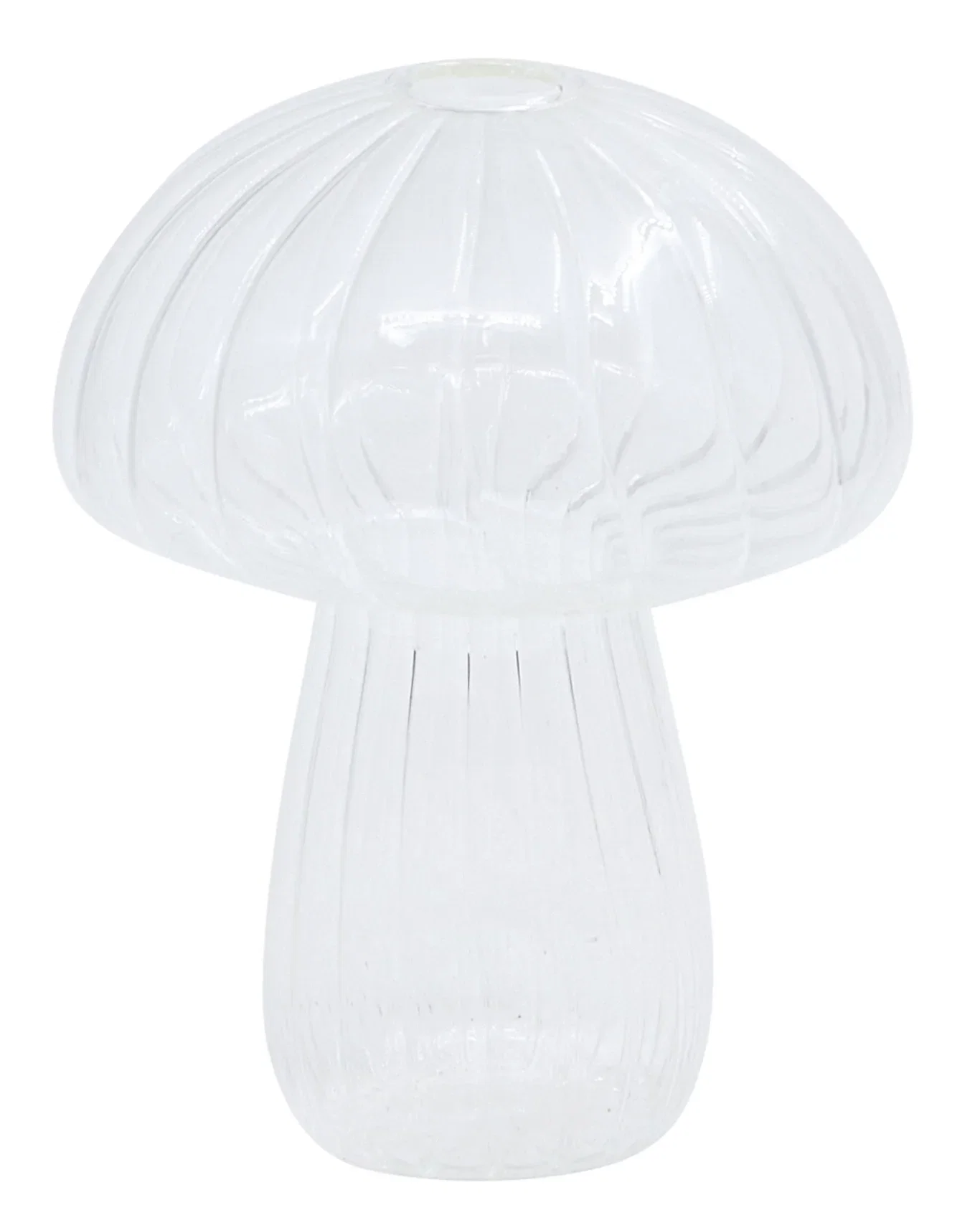 Maia vase H14 transparent