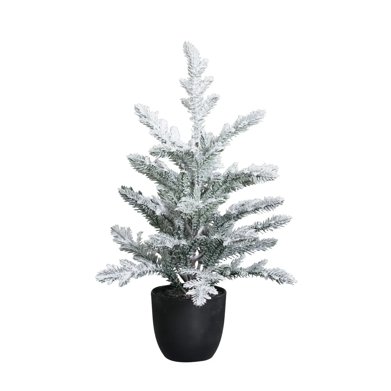 Fir tree with snow in pot