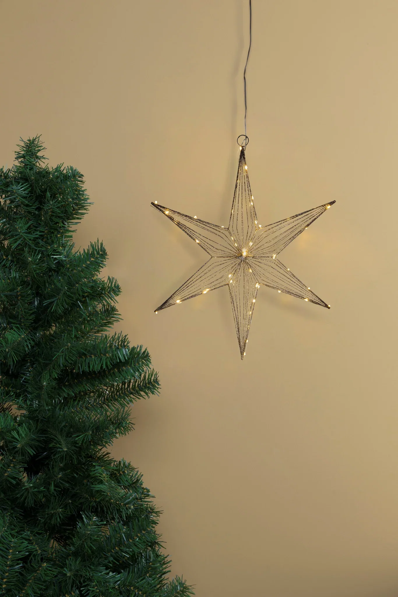 Adventsstjärna Champagne