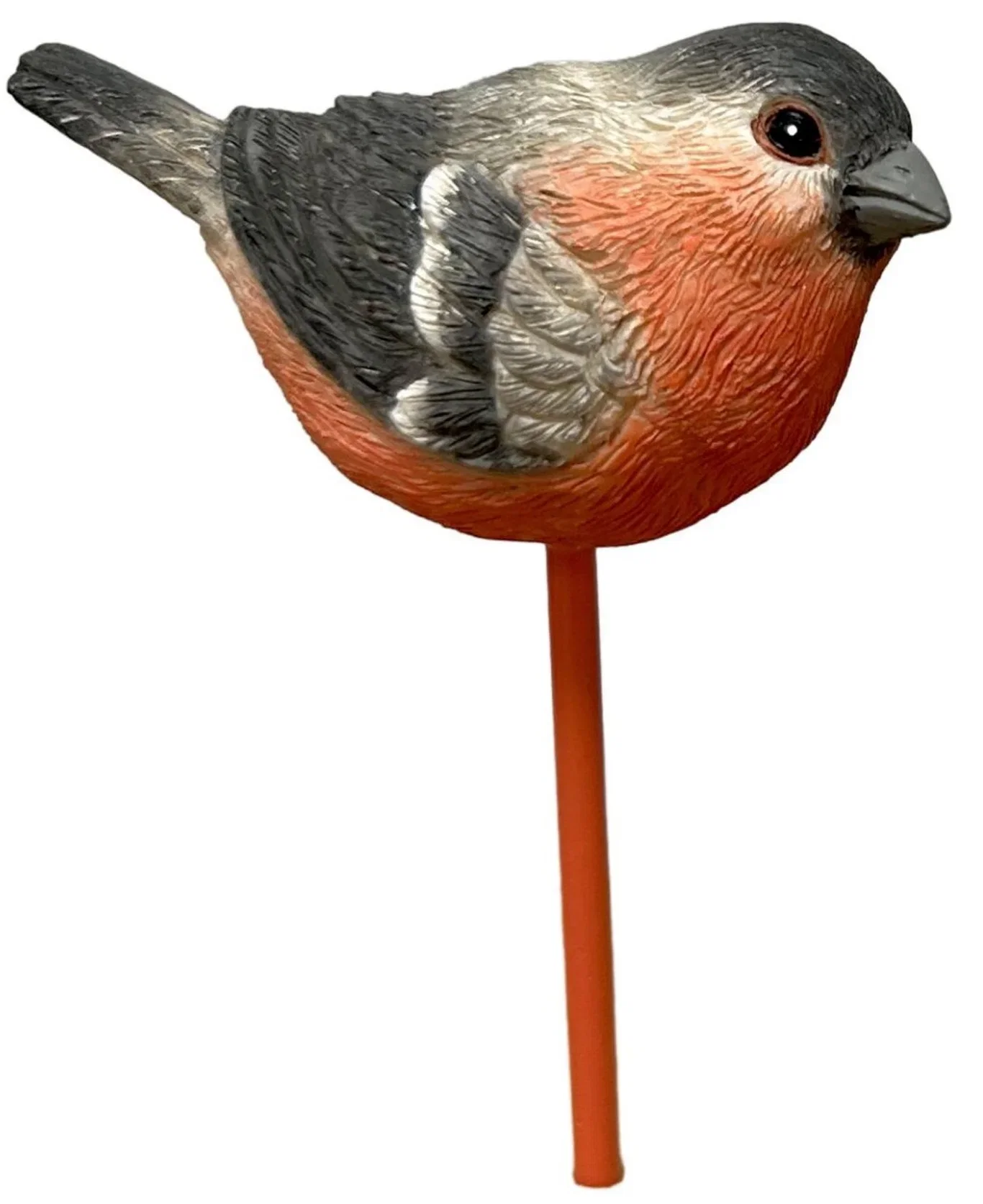 Dekorationspinne Domherre