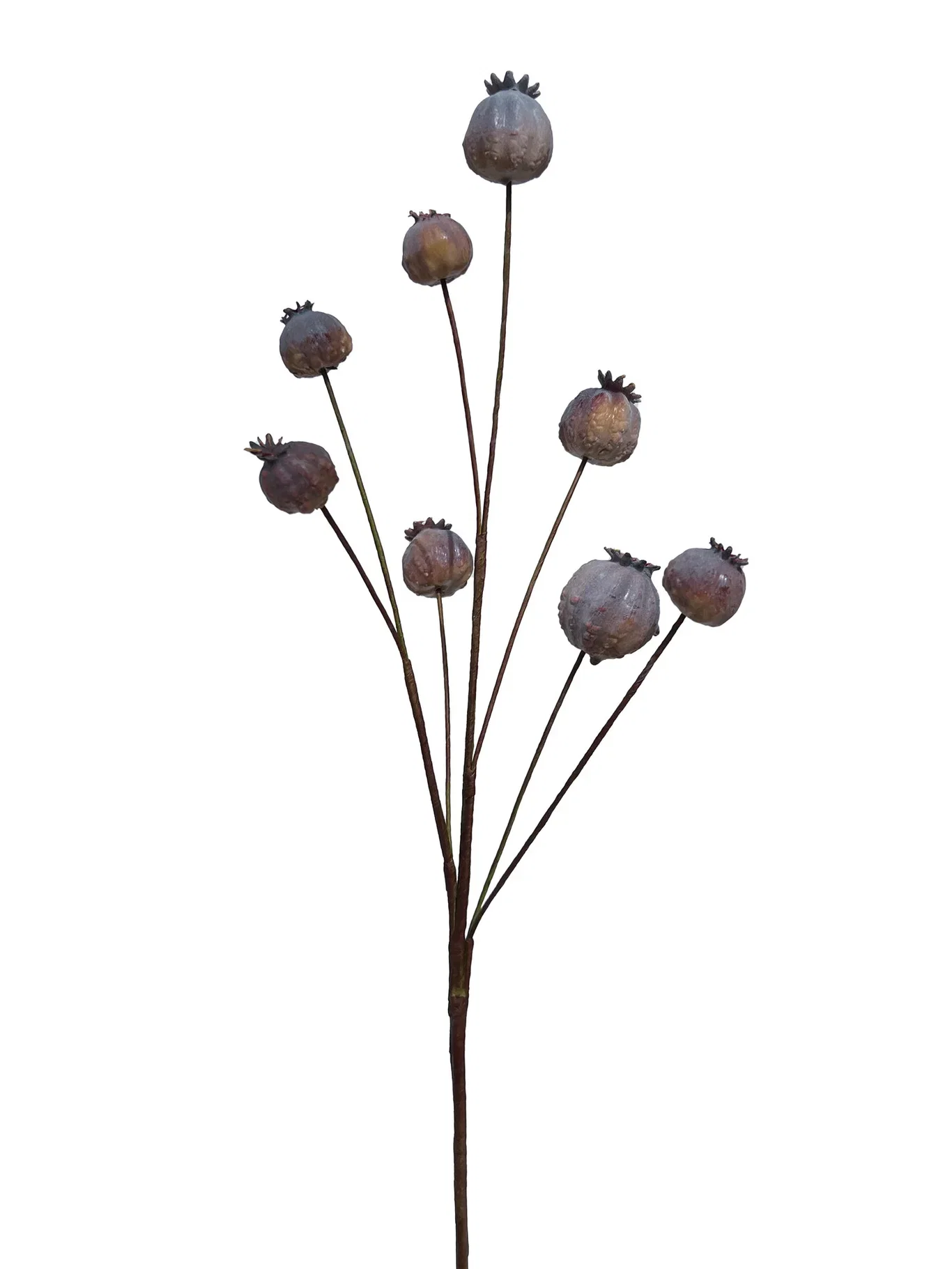 Vallmo frökapslar konstgjord