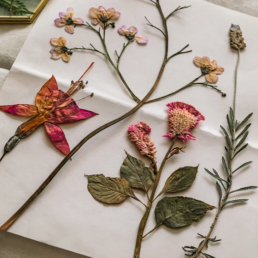 Pressa blommor och skapa vackra dekorationer