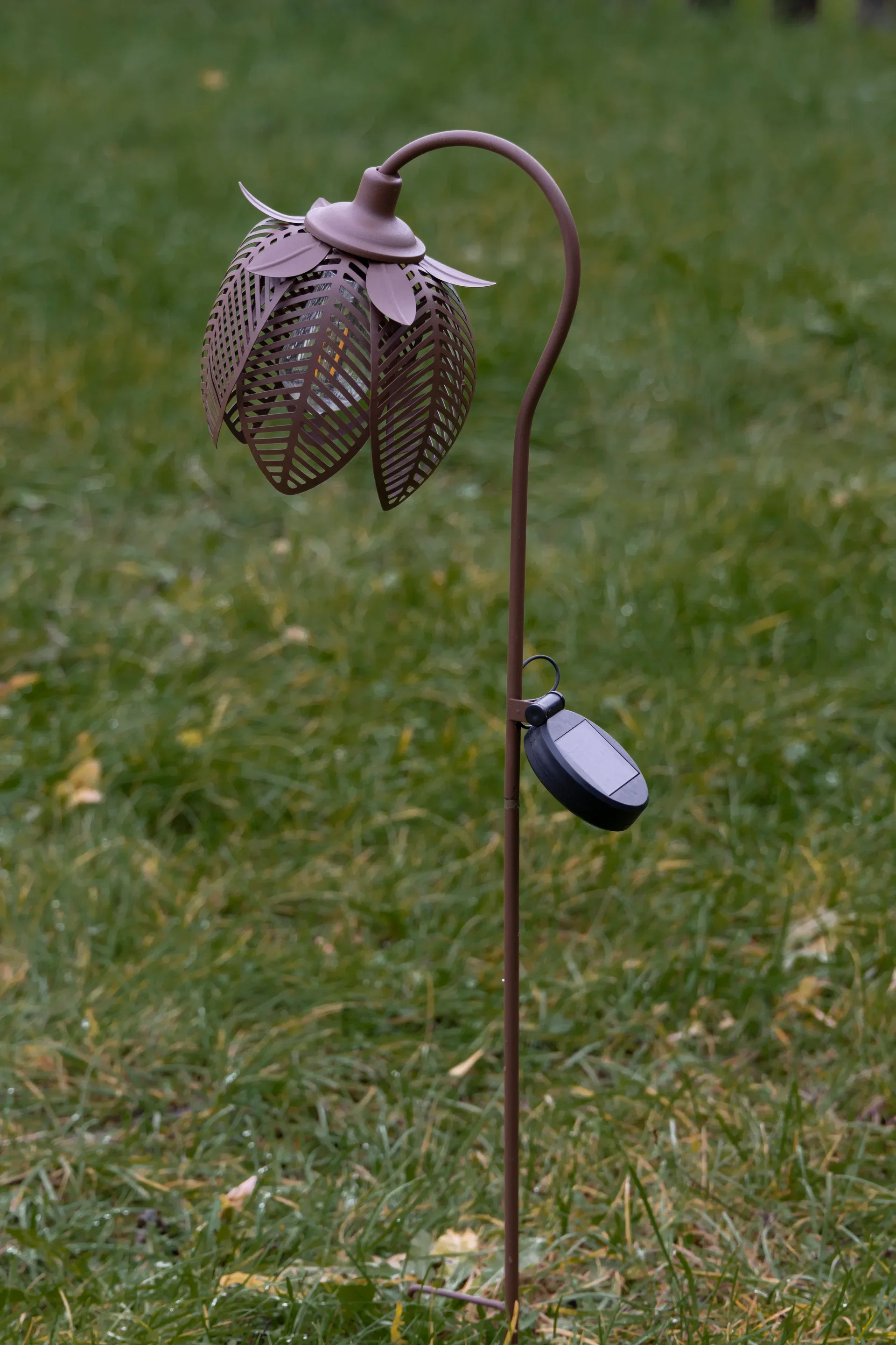 Flower Solar