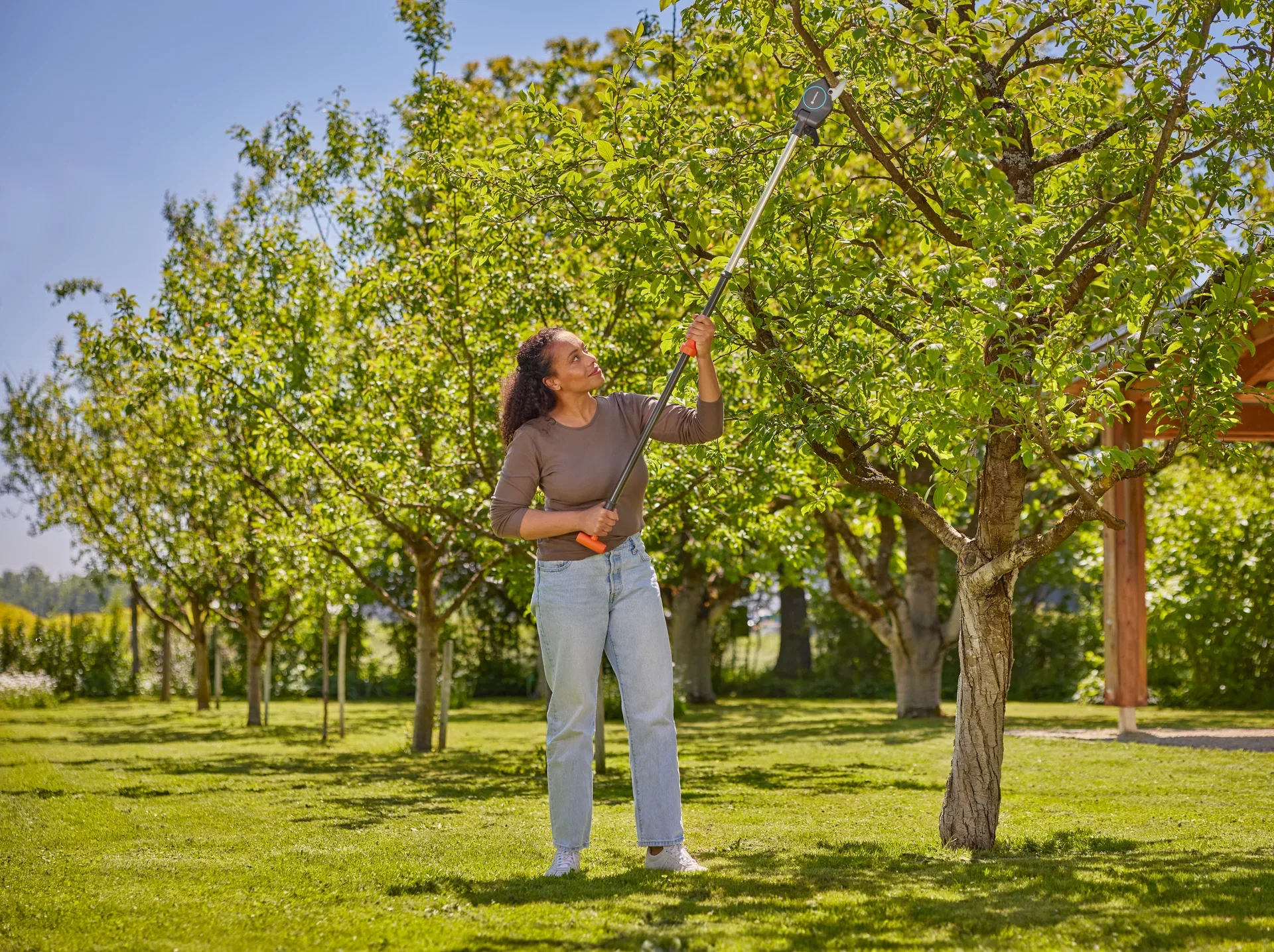  Top scissors Starcut Pro S