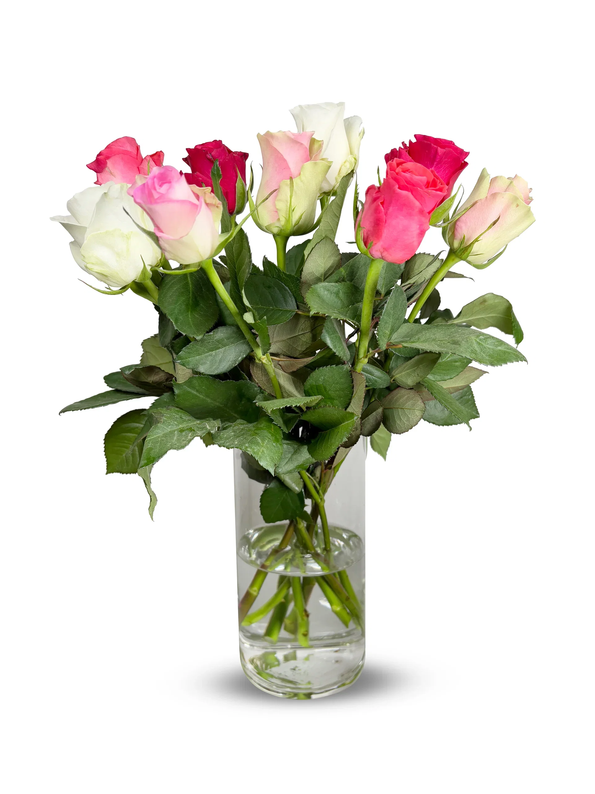 Rosor 9-pack