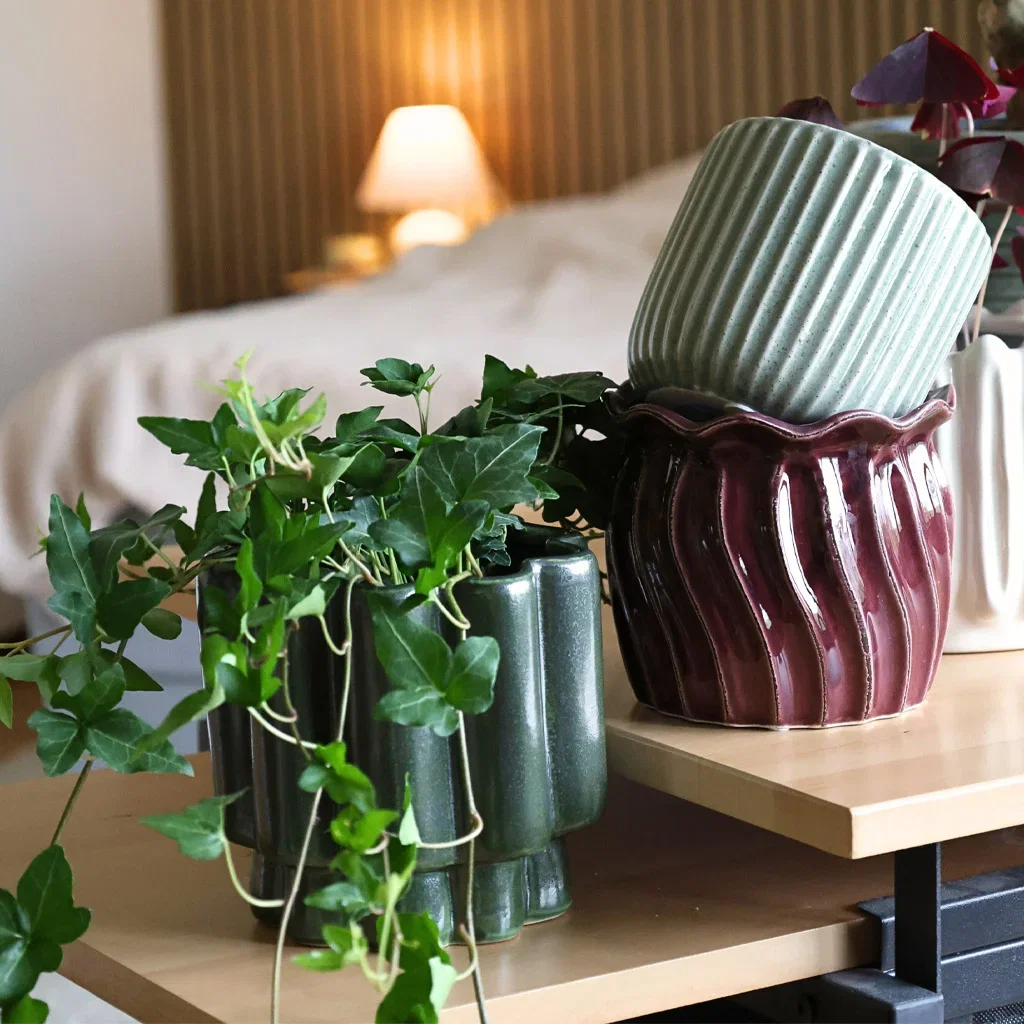 Decorate with indoor plants