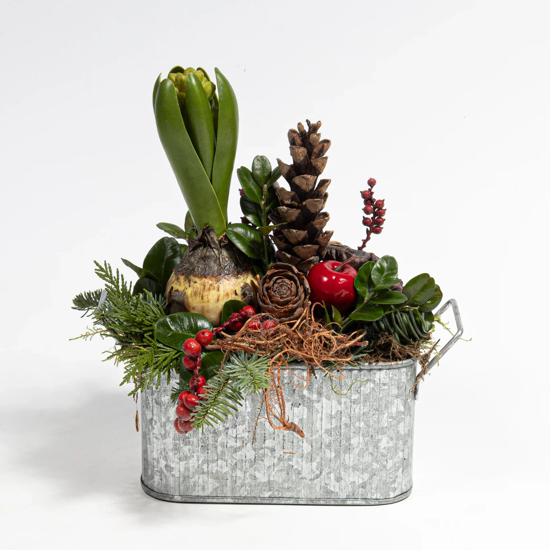 Zinc Planter with Christmas Hyacinth