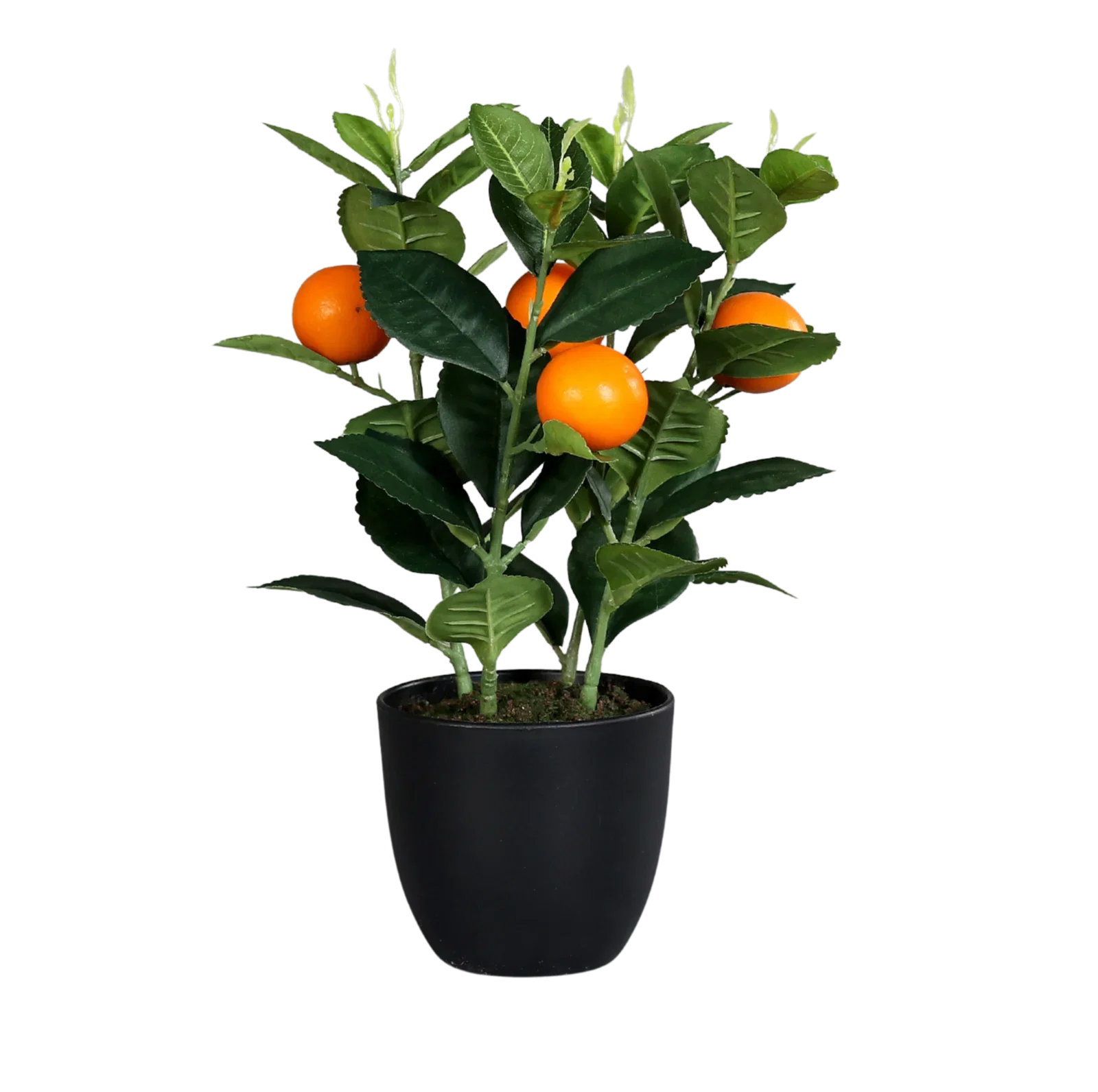 Citrusväxt konstgjord