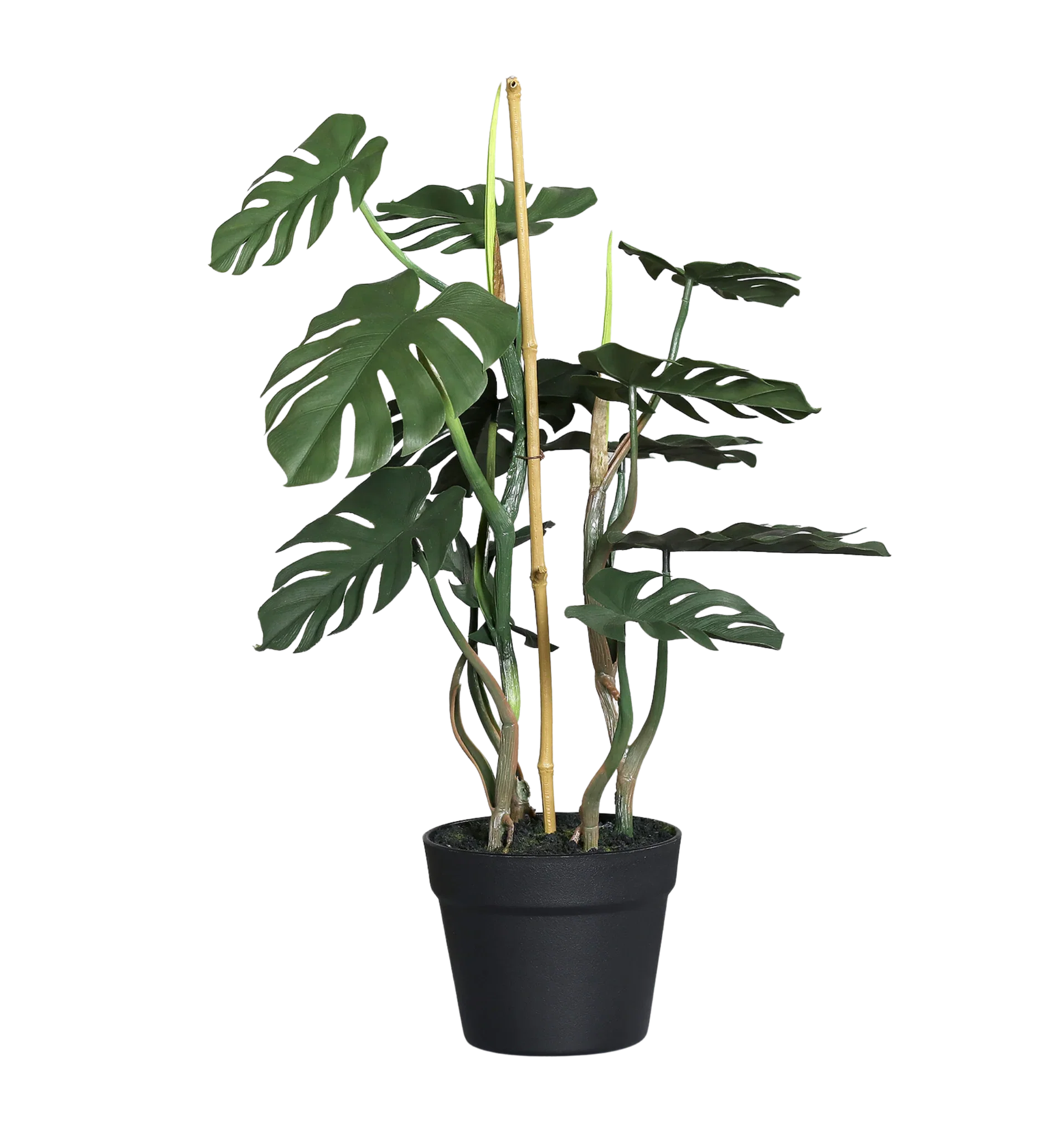 Monstera i kruka konstgjord