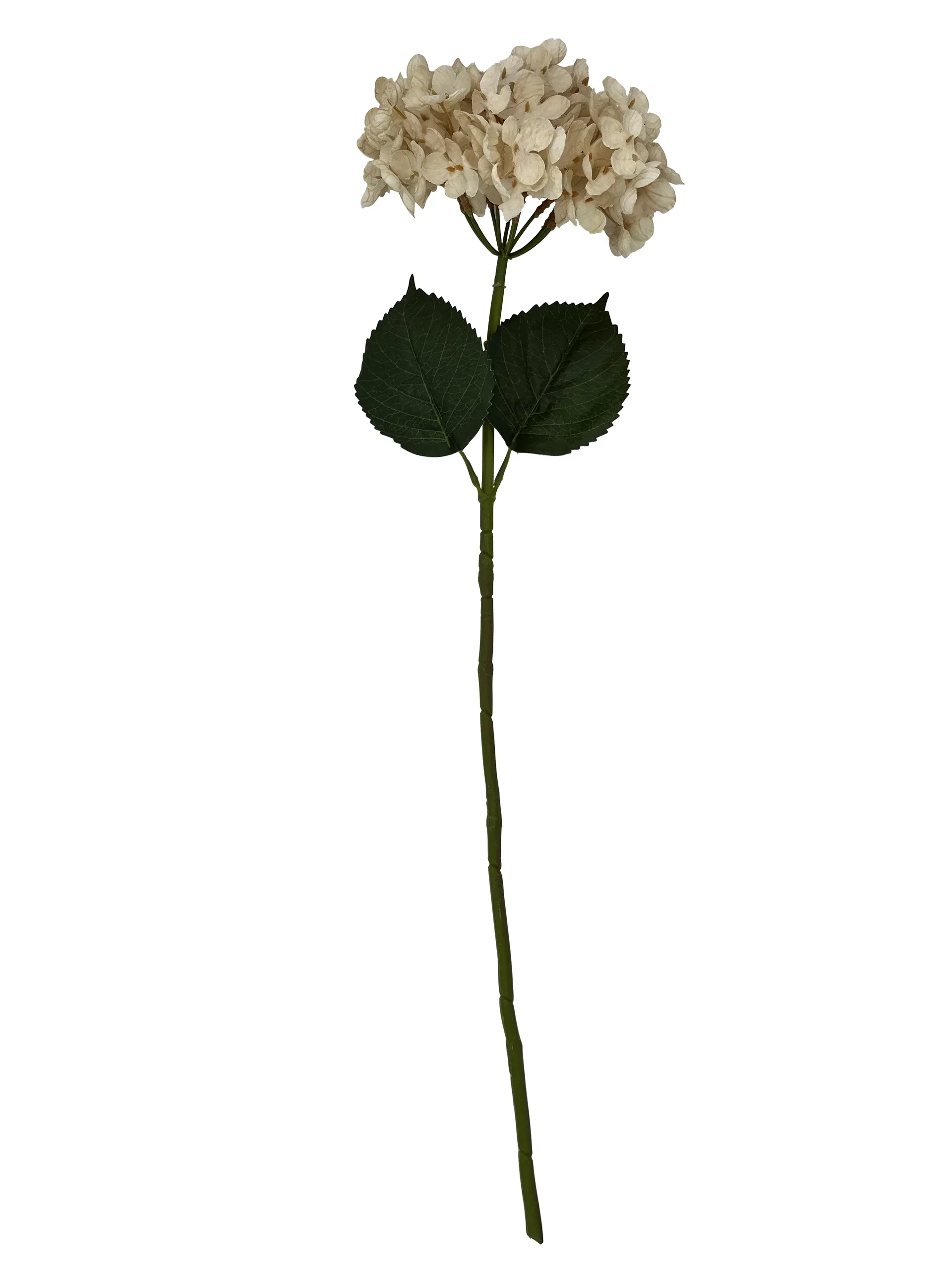 Hortensia klippt artificiell