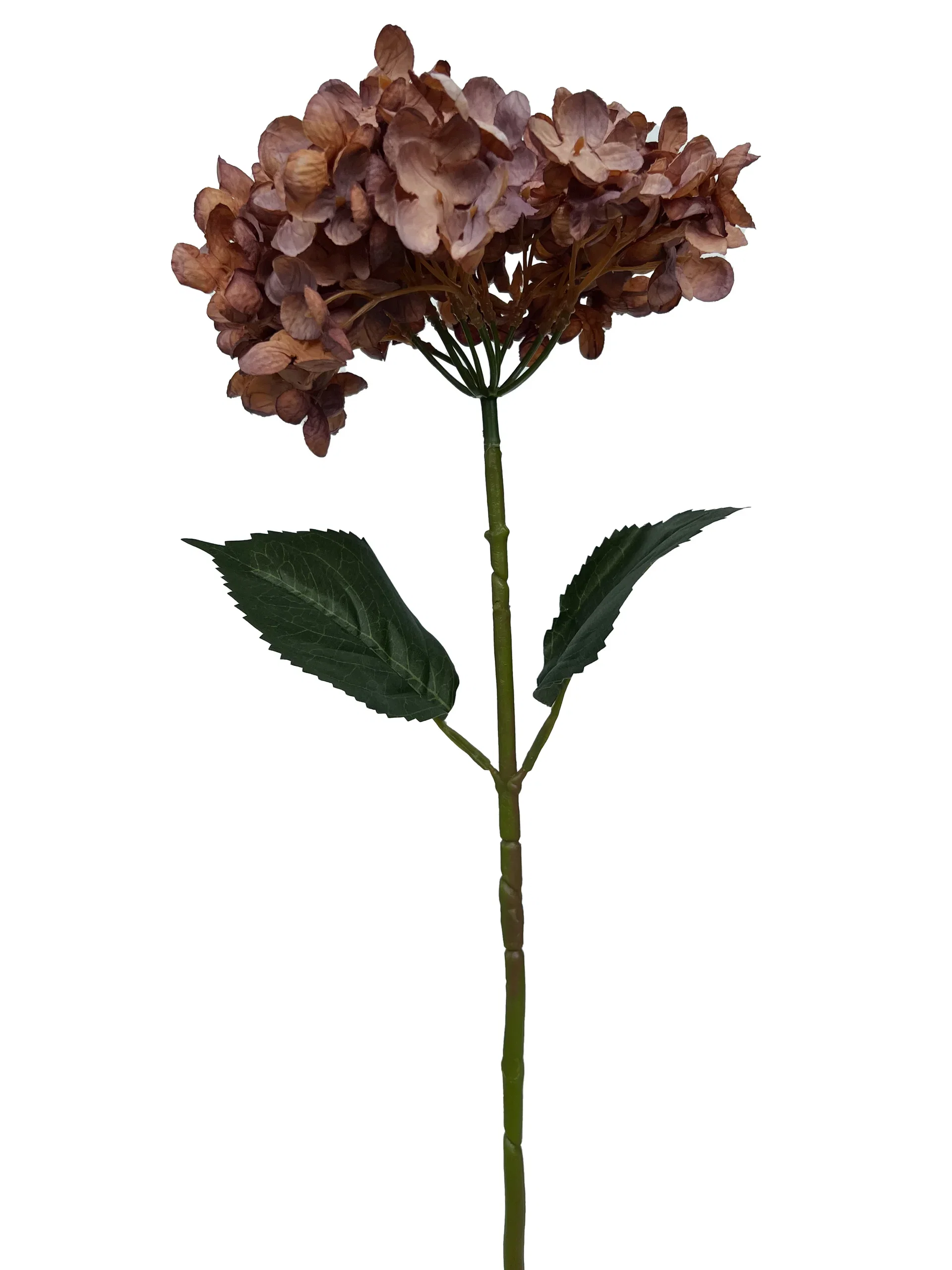 Hydrangea branch H60 purple