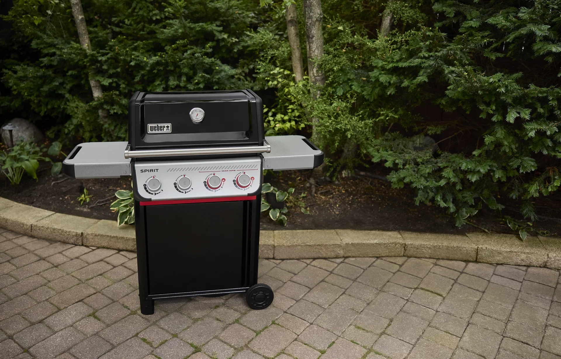 Gas Grill Spirit E-425